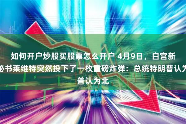 如何开户炒股买股票怎么开户 4月9日,白宫新闻秘书莱维特突然投下了一枚重磅炸弹:总统特朗普认为北