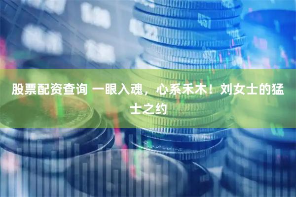 股票配资查询 一眼入魂，心系禾木！刘女士的猛士之约